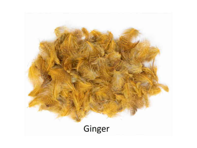 Rapphöna nackfjäder - Ginger