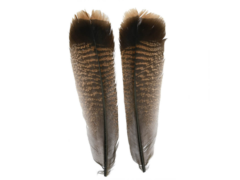 Ozark Oak Mottled Turkey Tails