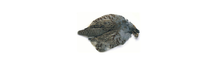 Rapphöna