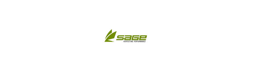 Sage