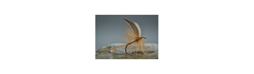 Torrfluga