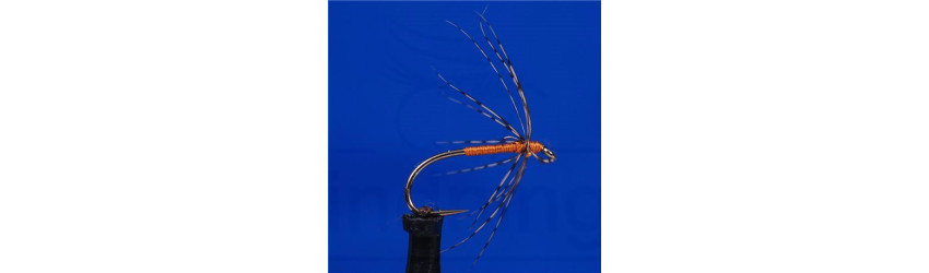 Spiders / Flymfer