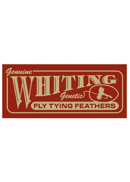 Whiting