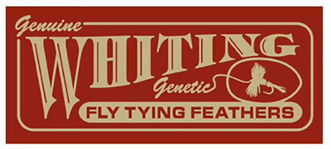 Whiting