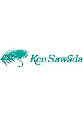 Ken sawada